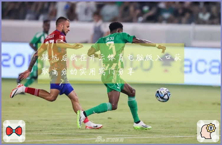 踩坑后我在开云体育电脑版入口获取高分的实用窍门分享