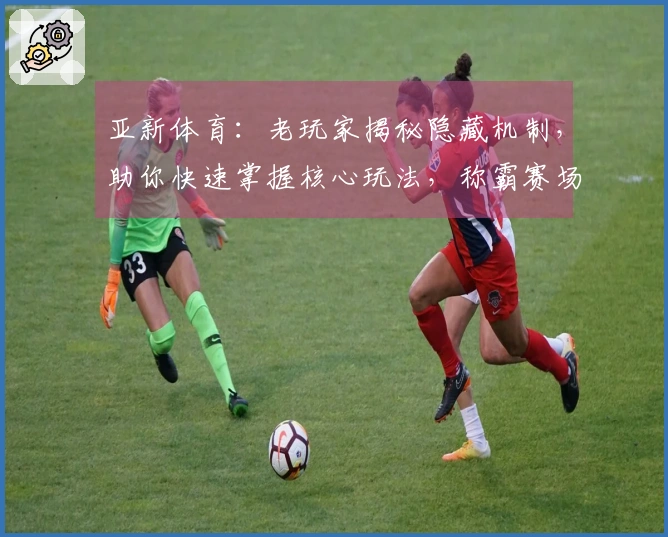 亚新体育：老玩家揭秘隐藏机制，助你快速掌握核心玩法，称霸赛场！